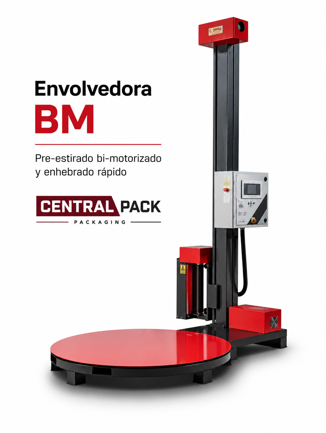 Palletizadora 1
